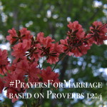 31 Verses to Pray for Your Marriage || Proverbs 12:4
