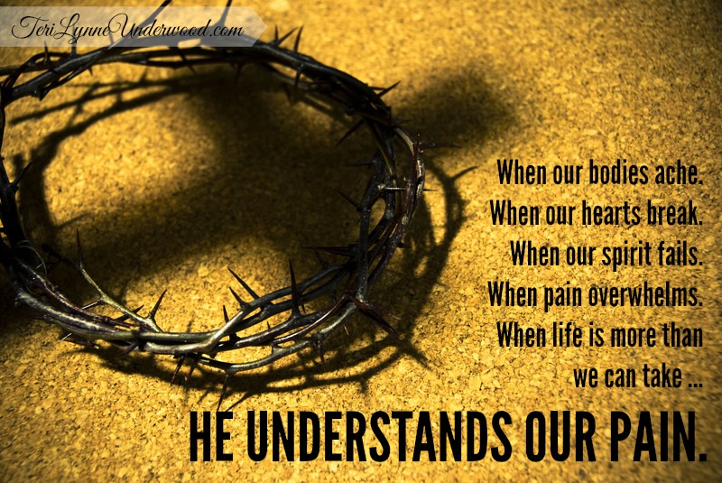 Holy Week Meditations:  A God Who Understands Our Pain