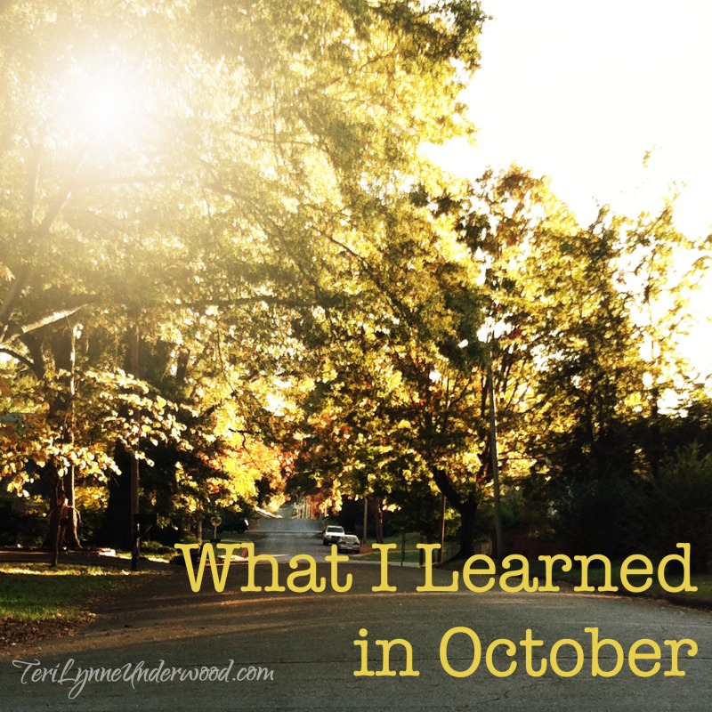 What I Learned in October