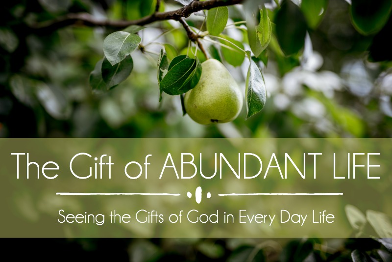 The Gift of ABUNDANT LIFE