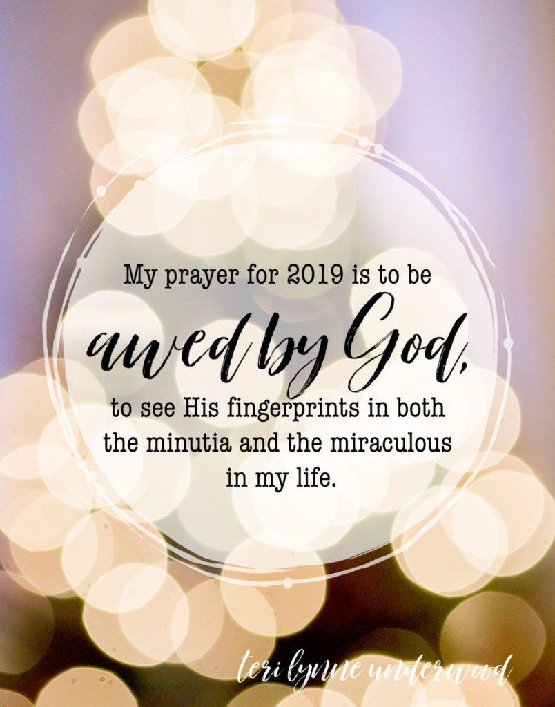 My #oneword for 2019 chose me. And this is how I'm praying God will work in my heart and life in the coming year.