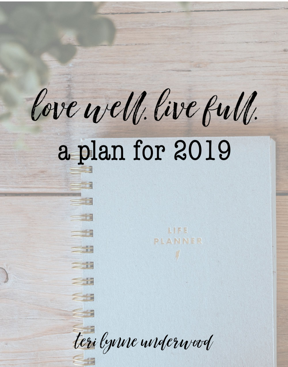 Love Well. Live Full. My plan for 2019 to get back to the foundational truths of living a life focused on the Lord.