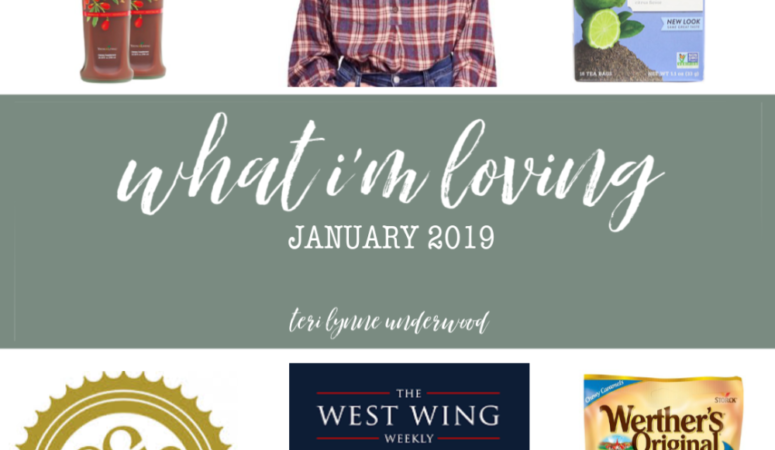 10 Things I’m Loving {January 2019}