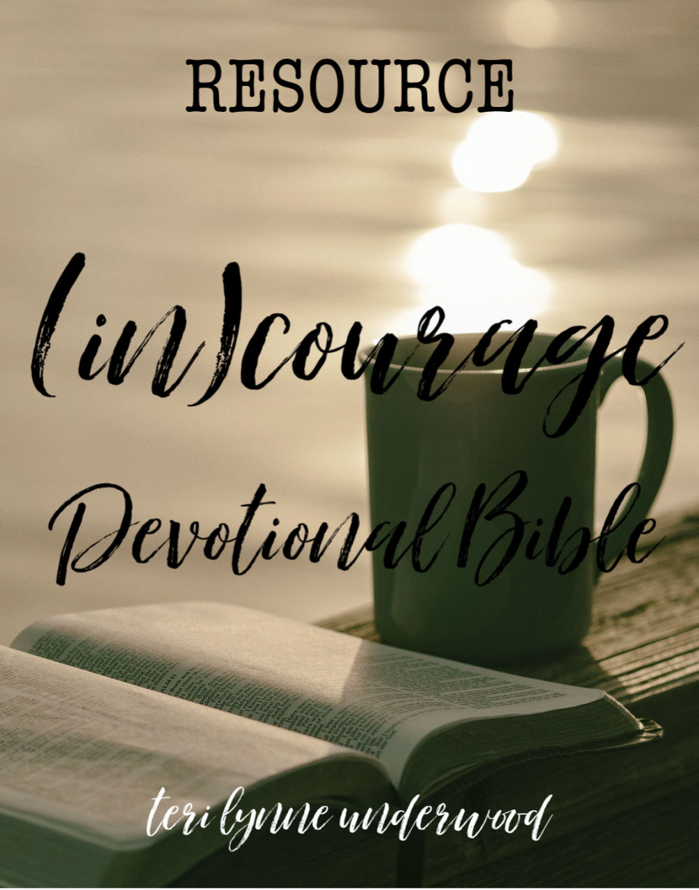 The (in)courage Devotional Bible is a great resource with over 300 devotions written by 100+ women in various seasons of life, ten reading plans, Women of Courage highlights, and more.