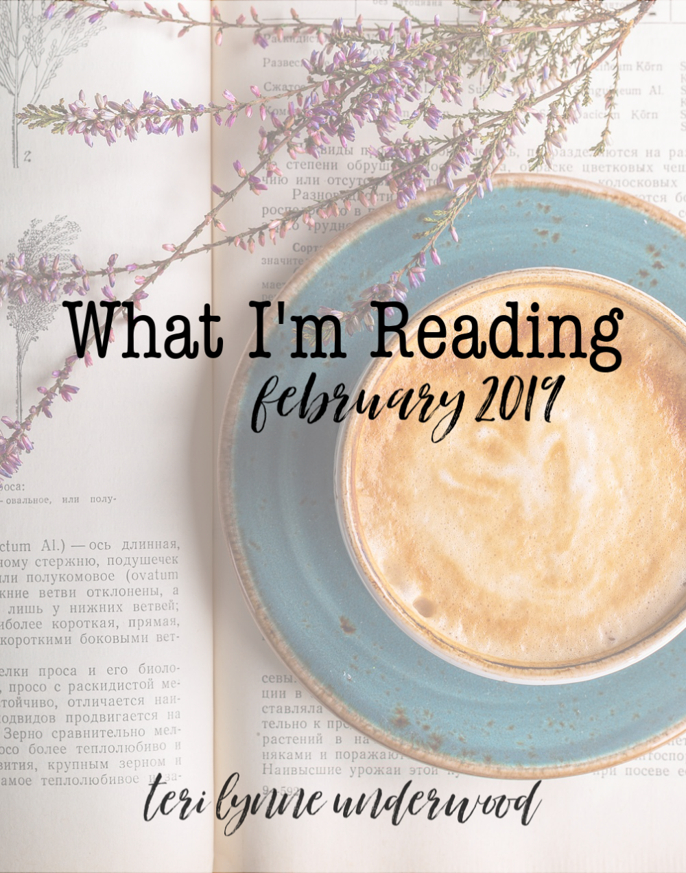 Looking for some good books? Here are recommendations in several categories by authors including Lysa TerKeurst, Paul David Tripp, and Karen Kingsbury. #WhatImReading