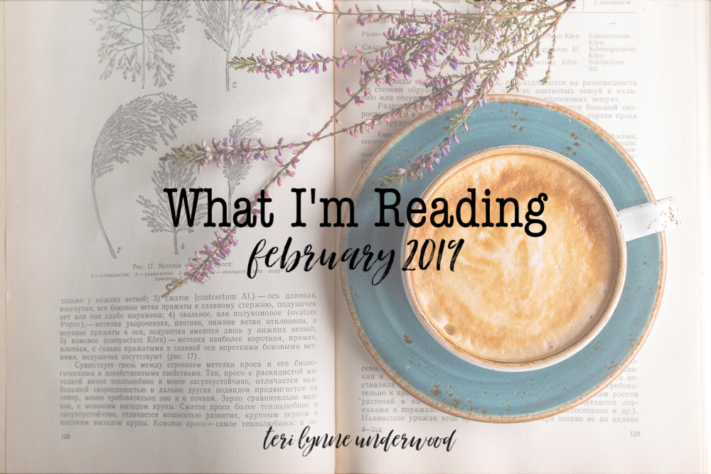 Looking for a good book? Here are a few recommendations including books by Karen Kingsbury, Lysa TerKeurst, Paul David Tripp, and more.
