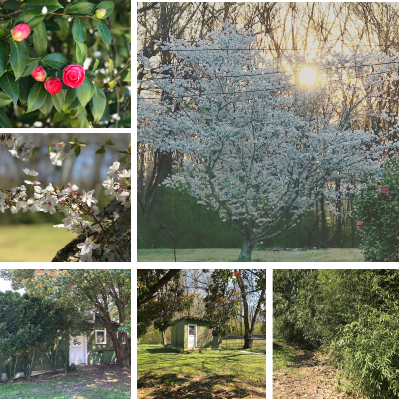 10 Things I'm Loving {March 2019} —
Underwood Estates in the spring is absolutely gorgeous!