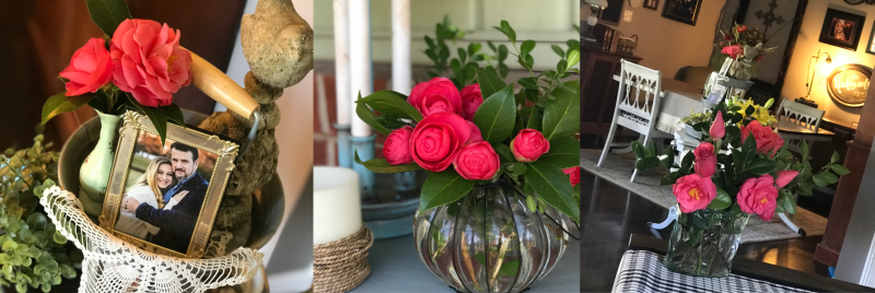 10 Things I'm Loving {March 2019} ... I can't get over these camellias!