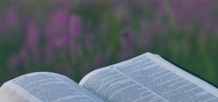 Exploring the Psalms: a seven-week study of the different types of Psalms.
